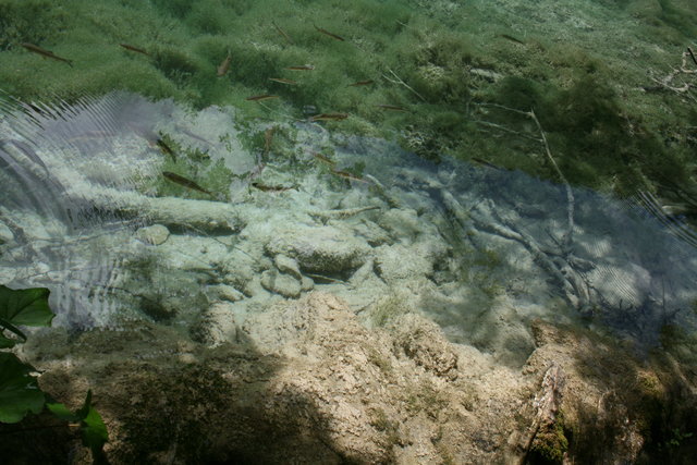 gal/cro 08/small-IMG_5618.JPG